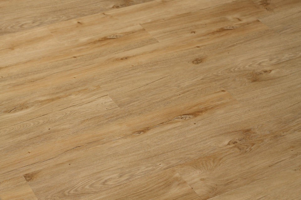 Light Birchwood