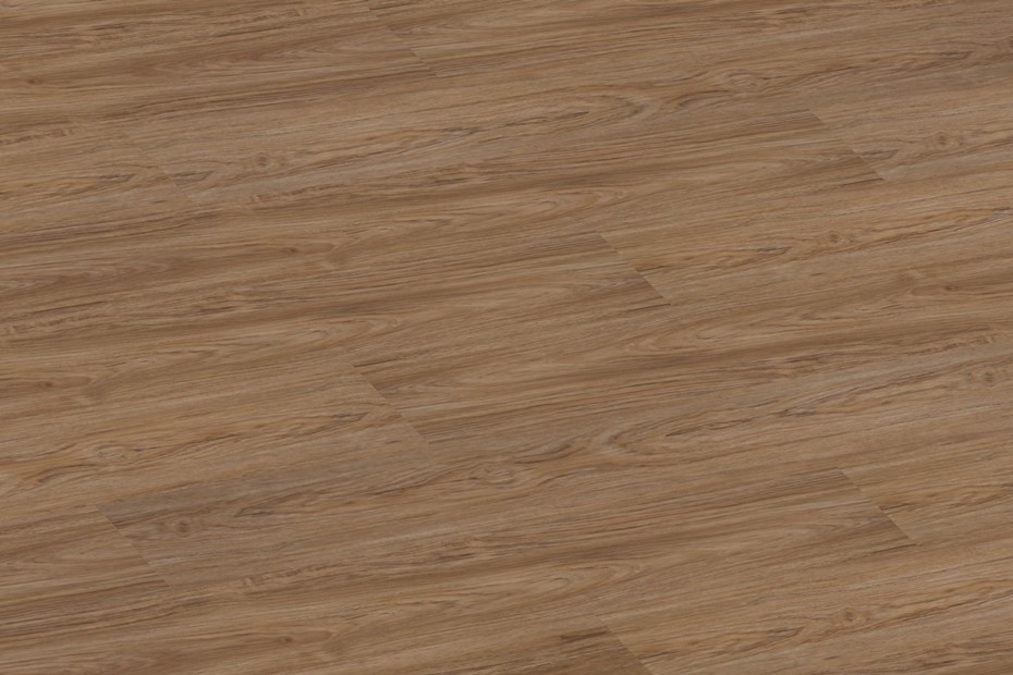 Sunset Oak